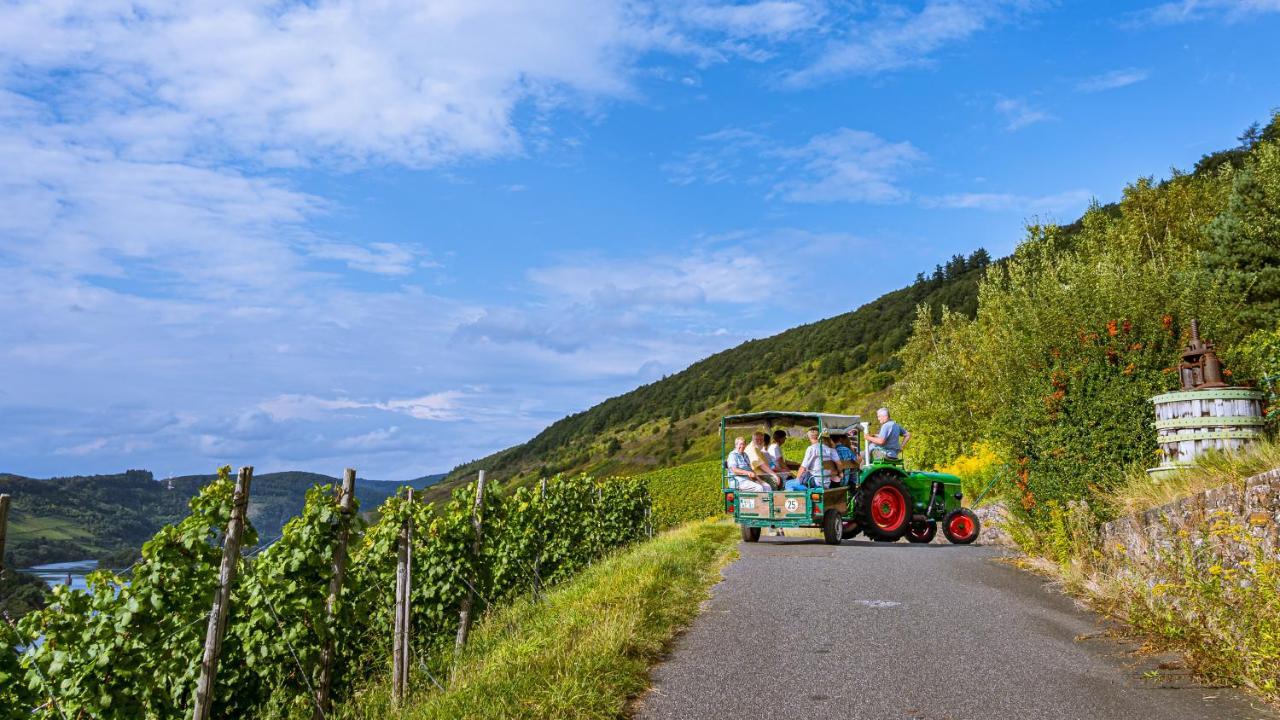 Ferienweingut Hirschen Schulstrasse Bed & Breakfast Burg  Bagian luar foto