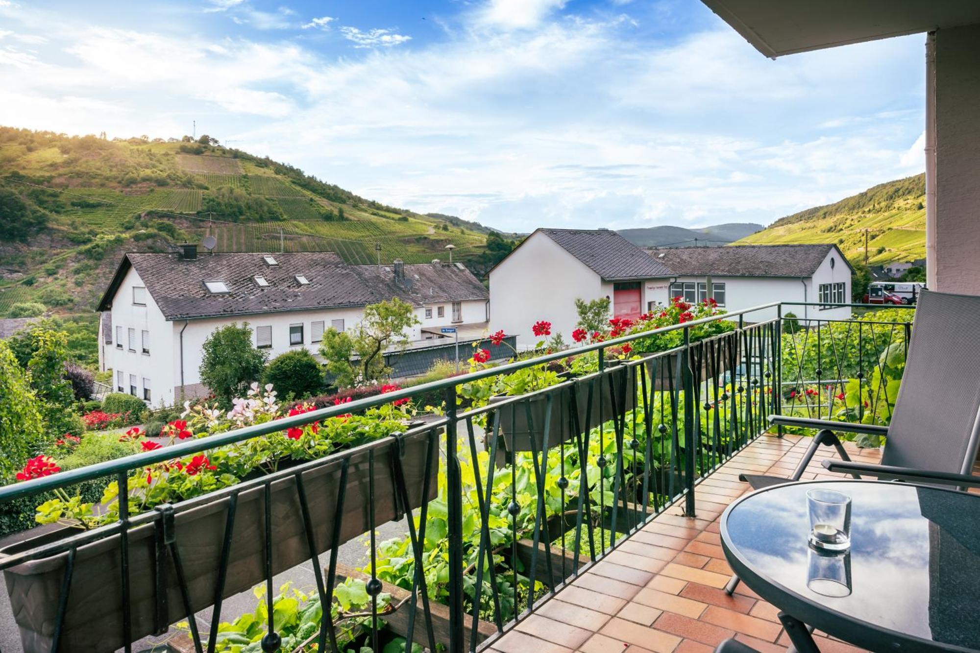 Ferienweingut Hirschen Schulstrasse Bed & Breakfast Burg  Bagian luar foto