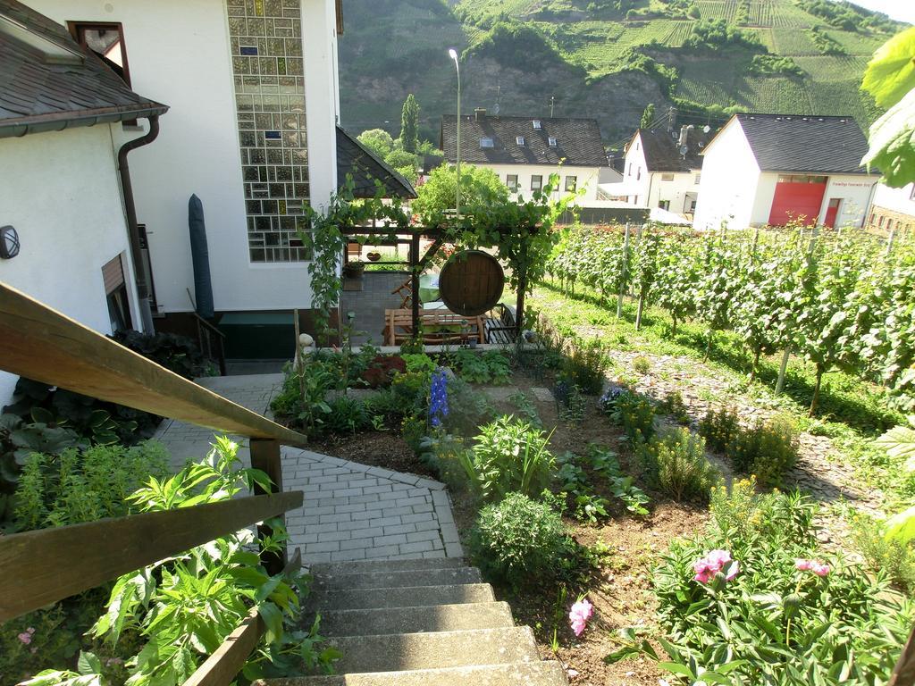 Ferienweingut Hirschen Schulstrasse Bed & Breakfast Burg  Bagian luar foto