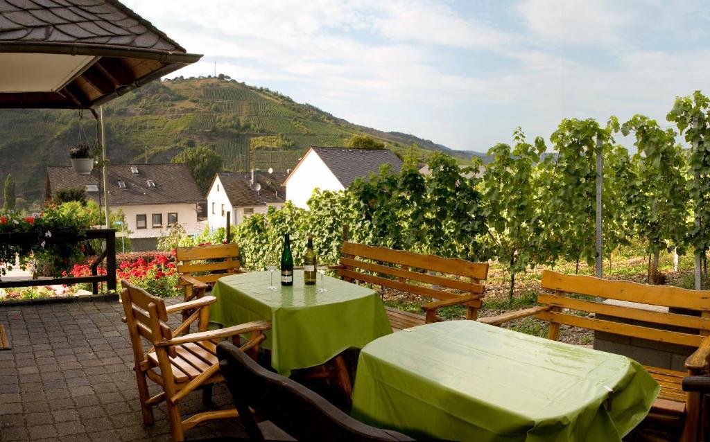 Ferienweingut Hirschen Schulstrasse Bed & Breakfast Burg  Bagian luar foto