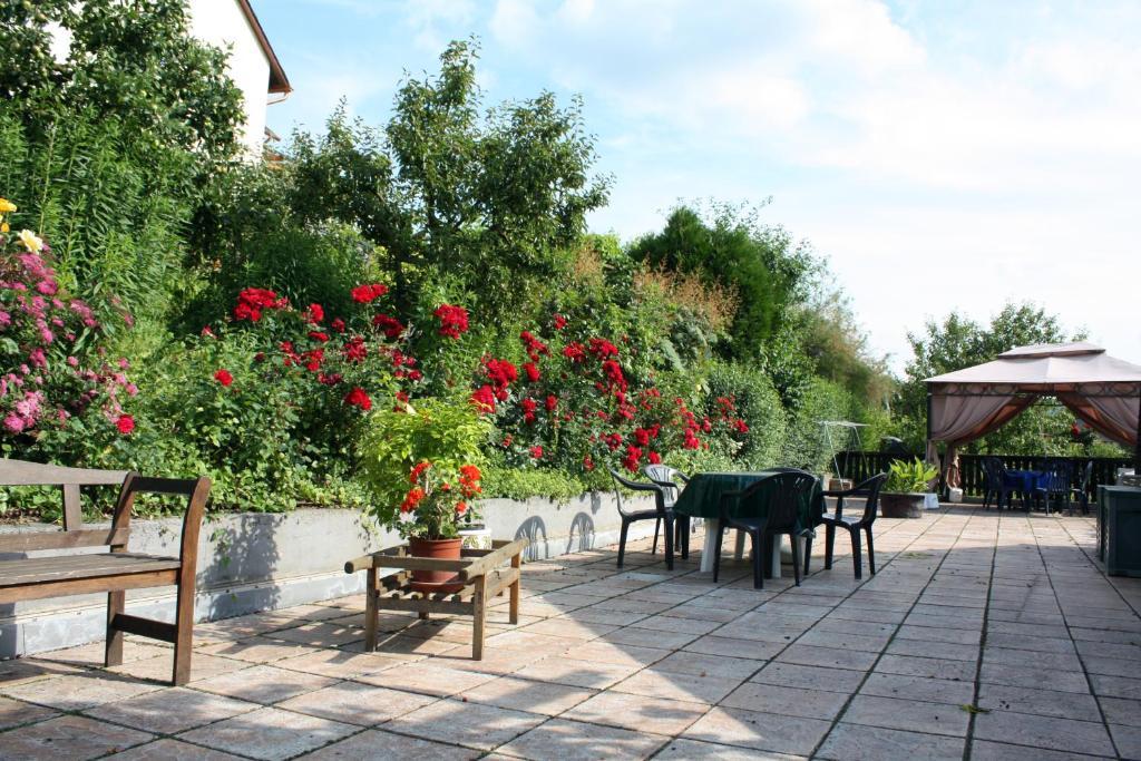 Ferienweingut Hirschen Schulstrasse Bed & Breakfast Burg  Bagian luar foto